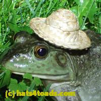 /home//u458753944/public_html/sourcegallery///Frogs/More bullfrogs/P6020095.JPG